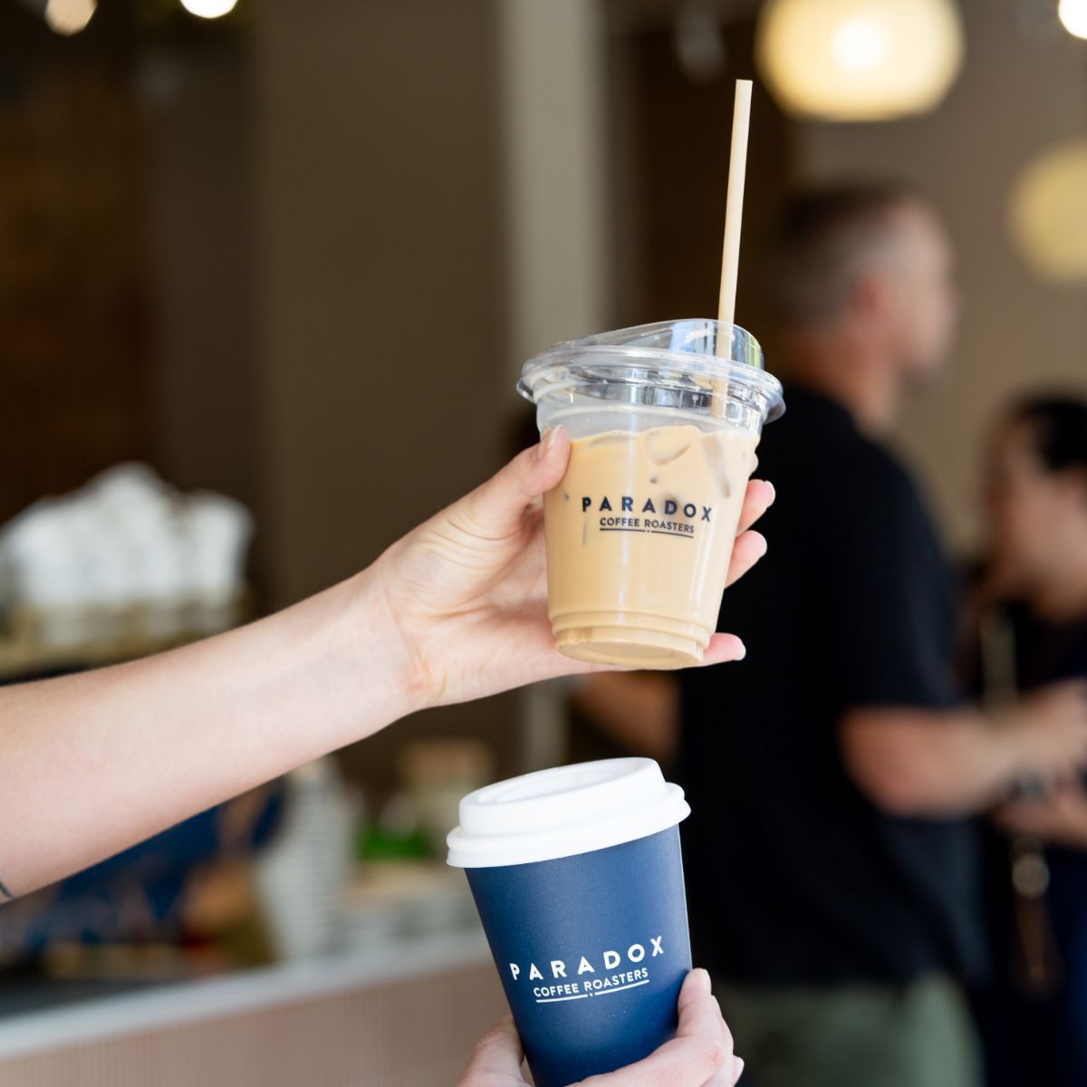 Paradox Coffee Roasters